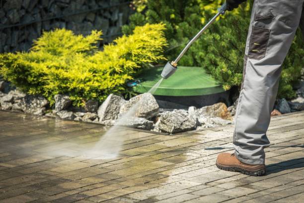 Best Boat and Dock Cleaning  in North Gates, NY